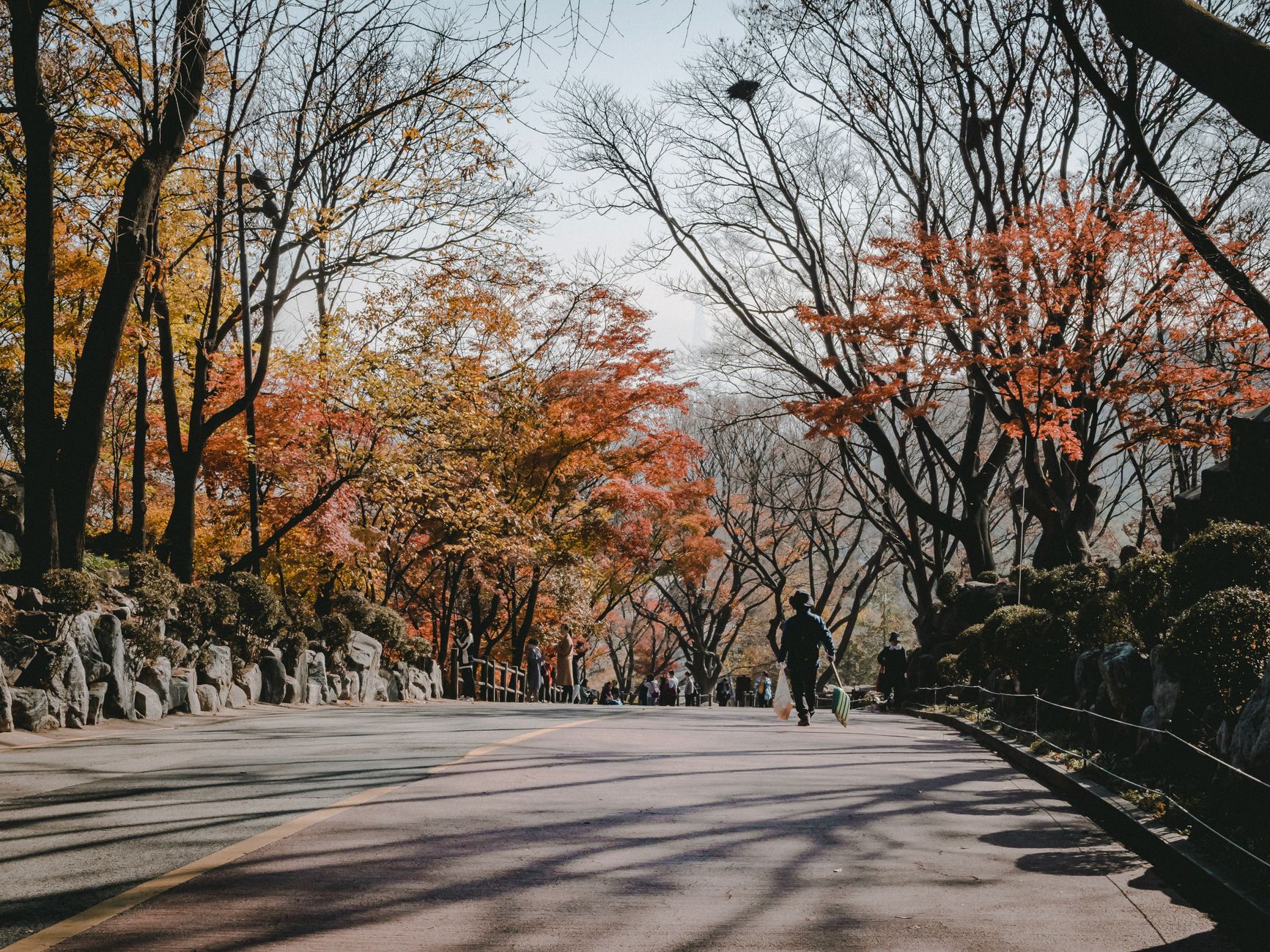 A woman walking through a peaceful park in Seoul, representing wellness and recovery